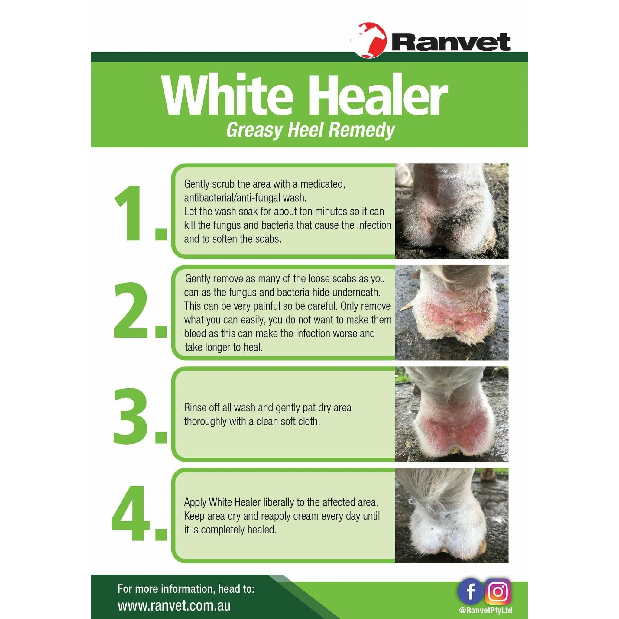 Ranvet White Healer